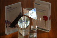Deloitte Technology Fast 500, 2011
